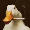 Profilbild von JSK