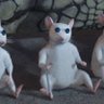 scottyt's profile picture