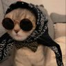 Profilbild von Icilv0_8