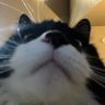 Profilbild von chlo