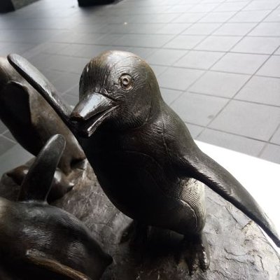 kakifele's profile picture