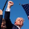 Profilbild von MAGA, not Republican