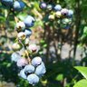 Фото профиля SunbluE