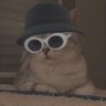 Profilbild von NKBBTHI