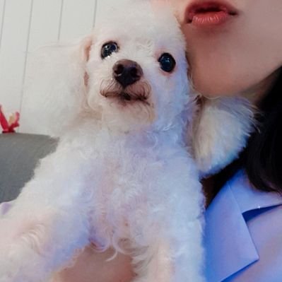 Jorjorlaw's profile picture