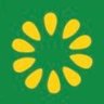 Arizona Green Party 🌻 的头像