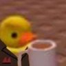 Beginner sub designer's profile picture