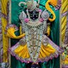 Lakha Rabari's profile picture