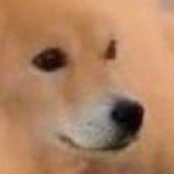 itsALLrisky's profile picture