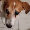 Profilbild von Carla Nesti