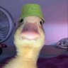 Ricky's profile picture