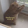 LLloveLM profil fotoğrafı