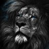 Mokolo Lennox's profile picture