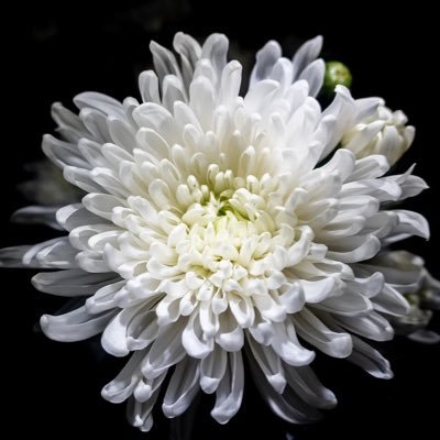 有益情報局's profile picture