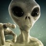 David's profile picture