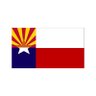 Texan in AZ's profile picture
