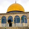 إبراهيم النهم profil fotoğrafı