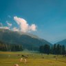 Фото профиля meidaworld