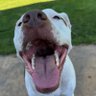 JerryG's profile picture