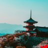 秋光 profil fotoğrafı