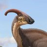 Profilbild von ParasaurolophusGroyper