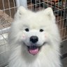 ღ𝓱 มิสยู profil fotoğrafı