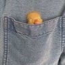 Profilbild von Sa