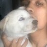 A. Ｈ．Ｇｕｔｉｅｒｒｅｚ's profile picture
