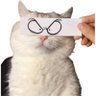 President Potato's profile picture