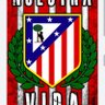 ATLÉTICO y ANTIMADRISTA profil fotoğrafı