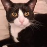Profilbild von BaconBinx