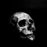 Aaron Addo's profile picture