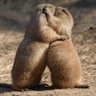 Sieva_brīvsolī profil fotoğrafı
