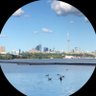 DemocraRisingCND's profile picture