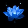 Profilbild von staryu