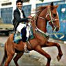 Profilbild von نصٓـ✗ـر آݪو٘شيٰـ🇾🇪⃟شٓ