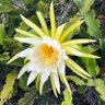 Фото профиля Rosemarie Armstrong