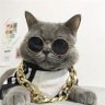 Фото профиля El Michi Bandido