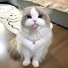 MrJackcn profil fotoğrafı