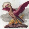 ALPHAPHoenix 的头像