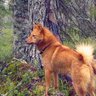 Kake Riimuvuori profil fotoğrafı