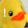 拾柒_🦆 profil fotoğrafı