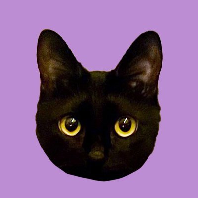 午後's profile picture