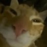 Profilbild von Big shnozzer