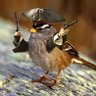 Profilbild von PurpleHoriz0n