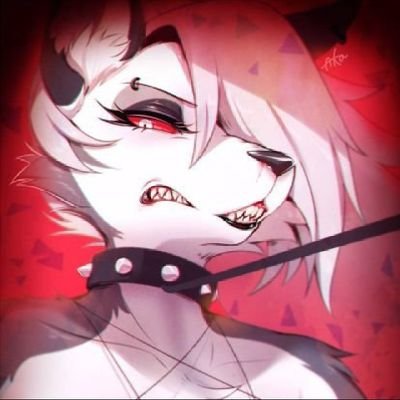 loonalover100's profile picture