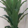 Фото профиля altpa alhmiry