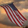 American Mojo 🇺🇸's profile picture