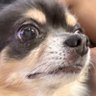 そめ's profile picture