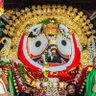 Фото профиля Rabindra behera Behera